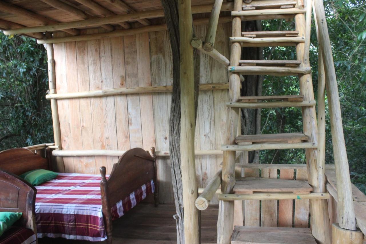 Forest Tree Top Holiday Resort Buttala Экстерьер фото