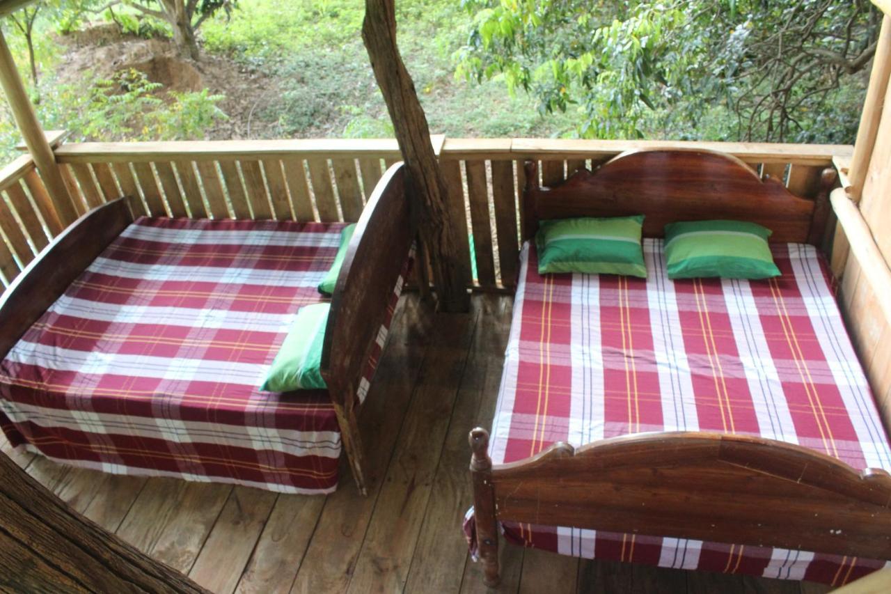 Forest Tree Top Holiday Resort Buttala Экстерьер фото